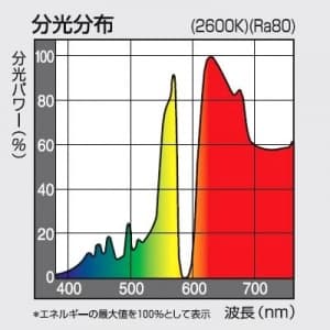 パナソニック 【生産完了品】スカイビーム 片口金 PG形 100形 拡散形 色温度2600K  NHT100FE/PG 画像2