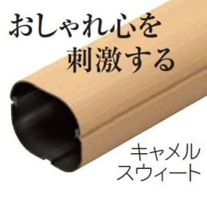 因幡電工 【生産完了品】スリムダクトSD 端末カバー 機器接続部用 77タイプ キャメルスウィート  SE-77-C 画像5