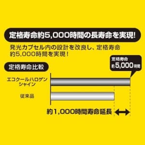 ヤザワ 【販売終了】UVカット機能付 ハロゲン電球 《エコクールハロゲン》 12V 75W形 広角 EZ10口金  JR12V45WUVWK5EZHA2A 画像3