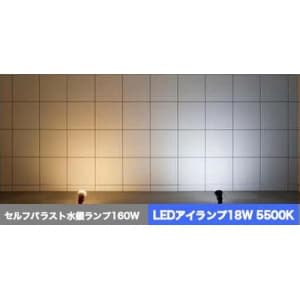 岩崎電気 【生産完了品】LEDアイランプ 昼白色タイプ(5500K相当) 本体:白色塗装仕上げ  LDR100200V18NHW 画像3