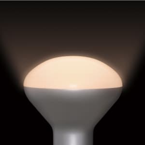 ヤザワ 【生産完了品】R50形 LEDランプ 全光束:180lm 電球色 E17口金  LDR3LH50E17 画像2