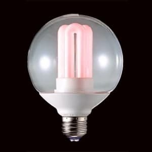 東芝　ネオボールZ 電球型蛍光ランプ　10個セット