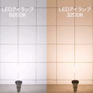 岩崎電気 【生産完了品】LEDioc LEDアイランプ 本体:黒色塗装仕上げ 52W 昼光色タイプ 6000K相当 E39口金  LDR100-200V52D-H/E39B760A 画像2