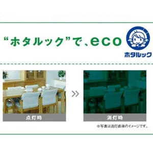 NEC 【生産完了品】食卓ペンダント ライトグリーン色樹脂セード 4.5〜6畳向け 電球形蛍光灯100W形×2灯 電球色  XC-25233-GSG 画像2