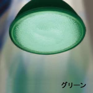 ジェフコム 【生産完了品】蛍光ランプ形ビーム電球 PAR38型 120W相当 E26口金 グリーン  EFR23-SG