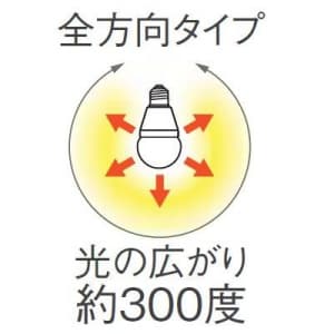 パナソニック 【生産完了品】LED電球 《EVERLEDS エバーレッズ》 一般電球タイプ 全方向タイプ 60W形相当 昼白色相当 全光束810lm E26口金 LED電球 一般電球タイプ 全方向タイプ 60W形相当 昼白色相当 全光束810lm E26口金 LDA10N-G/Z60/W 画像3