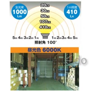 日動工業 【生産完了品】LEDビックナイター アーチアーム 屋外型 LED10W 昼光色 6000K LEDビックナイター アーチアーム 屋外型 LED10W 昼光色 6000K LEN-10D-1P-BK 画像2