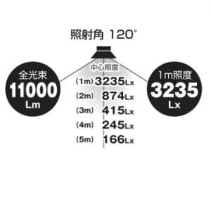 日動工業 【生産完了品】LED電球 水銀灯400W相当 昼白色 E39口金 照射角120度 100V/200V兼用 《エコビック》 LED電球 水銀灯400W相当 昼白色 E39口金 照射角120度 100V/200V兼用 《エコビック》 L100W-E39-WBK-50K 画像5