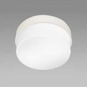 NEC 【生産完了品】LED小型シーリングライト 昼白色 小形電球40W形×2灯相当 天井直付タイプ XM-LE17202N