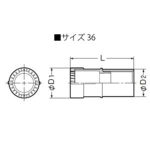 未来工業 GPアダプター CD管φ36⇔厚鋼電線管36 Gタイプ ねじ付 オレンジ GPアダプター CD管Φ36⇔厚鋼電線管36 Gタイプ ねじ付 オレンジ CDGP-36G 画像2