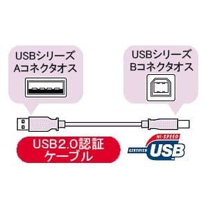 サンワサプライ 【生産完了品】USB2.0ケーブル 金メッキコネクタタイプ 長さ:1.5m ブラック  KU20-15BKH 画像3