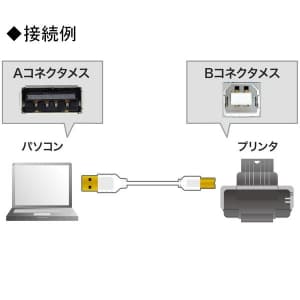 サンワサプライ 【生産完了品】極細USBケーブル USB2.0対応 Aコネクタ-Bコネクタ 長さ:1.5m ホワイト 極細USBケーブル USB2.0対応 Aコネクタ-Bコネクタ 長さ:1.5m ホワイト KU20-SL15W 画像3