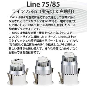 山田照明 【生産完了品】ダウンライト 取付穴φ75mm 埋込高121mm E17クリプトンレフ球50W形×1 ホワイト 【生産完了品】ダウンライト 取付穴φ75mm 埋込高121mm E17クリプトンレフ球50W形×1 ホワイト DE-2599 画像2