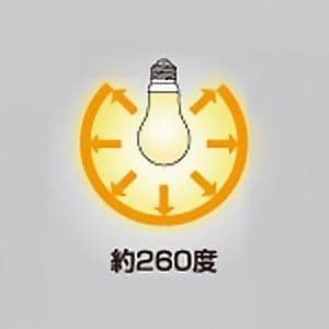 東芝 【生産完了品】【ケース販売特価 10個セット】LED電球 E-CORE[イー・コア] 一般電球形 全方向タイプ 40W形相当 昼白色相当 全光束485lm E26口金 〔LEDREAL〕 密閉器具対応 【ケース販売特価 10個セット】LED電球 E-CORE[イー・コア] 一般電球形 全方向タイプ 40W形相当 昼白色相当 全光束485lm E26口金 〔LEDREAL〕 密閉器具対応 LDA4N-G/40W_set 画像2