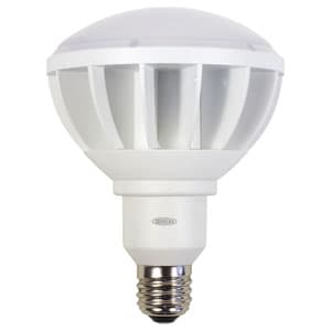 【生産完了品】高演色LED電球 ハイスペックエコビック50W バラストレス水銀灯500W相当 ワイドタイプ 昼白色 口金E39 白色  L50W-E39-WW-50K-N