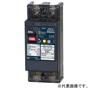 テンパール工業 漏電遮断器 2P2E30AF 30A 32EC3030