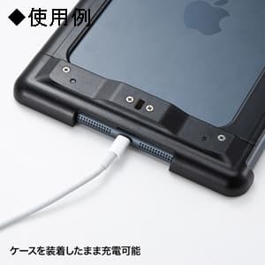 サンワサプライ 【生産完了品】iPad mini 3・iPad mini 2(Retina)・iPad mini用セキュリティ ブラック iPad mini 3・iPad mini 2(Retina)・iPad mini用セキュリティ ブラック SLE-26SIPMBK 画像3