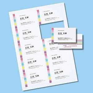 サンワサプライ 名刺カード マルチタイプ つやなしマット・標準厚タイプ 両面印刷 マイクロミシンカットタイプ 白 100シート・1000カード入 JP-MCM06-1