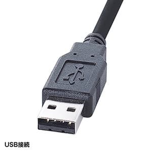 サンワサプライ 【生産完了品】日本語109キーボード USB接続タイプ メンブレン方式 ブラック 日本語109キーボード USB接続タイプ メンブレン方式 ブラック SKB-109LUBKN 画像2