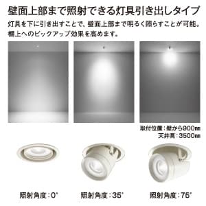 DAIKO 【生産完了品】LEDダウンライト 白色 CDM-T70W相当 埋込穴φ125mm 配光角7度 電源別売 ダウンスポット ユニバーサルタイプ LEDダウンライト 白色 CDM-T70W相当 埋込穴φ125mm 配光角7度 電源別売 ダウンスポット ユニバーサルタイプ LZD-92553NW 画像2