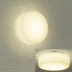 DAIKO LED浴室灯 電球色 非調光タイプ 白熱灯60Wタイプ 防雨・防湿形 天井・壁付兼用 DWP-37164