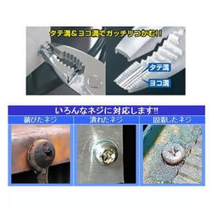 エンジニア ネジザウルスXP コンビネーションタイプ 全長175mm クロムバナジウム鋼 ネジザウルスXP コンビネーションタイプ 全長175mm クロムバナジウム鋼 PZ-56 画像2