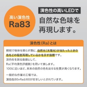 アイリスオーヤマ LEDスタンドライト 投光器 2灯タイプ 防雨型 ハロゲンランプ500形相当 昼光色 コード長約5m 《PROLEDS》 LEDスタンドライト 投光器 2灯タイプ 防雨型 ハロゲンランプ500形相当 昼光色 コード長約5m 《PROLEDS》 LWT-10000ST 画像5