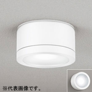 オーデリック 【生産完了品】LEDポーチライト 防雨型 壁面・天井面取付兼用 白熱灯100W相当 昼白色 オフホワイト LEDポーチライト 防雨型 壁面・天井面取付兼用 白熱灯100W相当 昼白色 オフホワイト OG254601ND