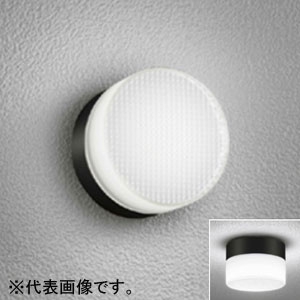 オーデリック 【生産完了品】LEDポーチライト 防雨・防湿型 壁面・天井面・傾斜面取付兼用 白熱灯60W相当 昼白色 黒 OG254193ND