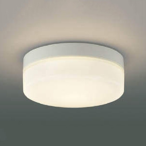 コイズミ照明 LED一体型階段通路誘導灯・非常灯 防雨型 直・壁取付用 FCL20W相当 電球色 AR49373L