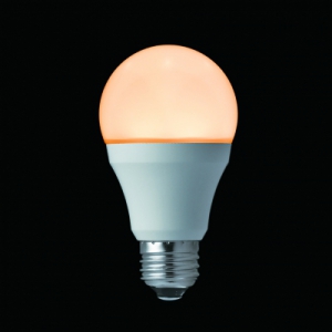 ヤザワ 【在庫限り】蓄光LED電球60W形相当 電球色 蓄光LED電球60W形相当 電球色 LDA8LGF 画像2