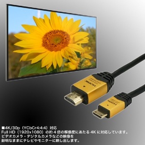 ホーリック HDMIミニケーブル 3m ゴールド HDMIミニケーブル 3m ゴールド HDM30-074MNG 画像3