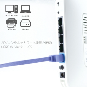 ホーリック LANケーブル UTP カテゴリー6A フラット 2m パープル LANケーブル UTP カテゴリー6A フラット 2m パープル LC20-506FB 画像5