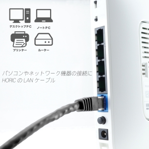 ホーリック LANケーブル UTP カテゴリー6A 10m ブラック LANケーブル UTP カテゴリー6A 10m ブラック LC100-582RB 画像5