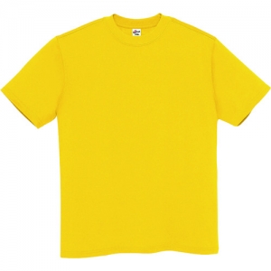 アイトス Tシャツ 男女兼用 デイジー XL AZMT180028XL