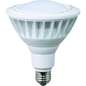 ハタヤ LED作業灯 20W交換球電球色広角タイプ LDR20L-H110