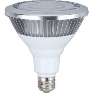 ハタヤ 【生産完了品】LED作業灯用17WLEDランプ LED作業灯用17WLEDランプ LED-17W