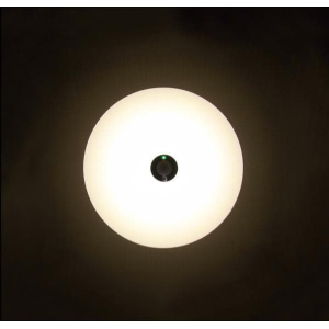 アイリスオーヤマ 【販売終了】LED小型シーリングライト 薄形600lm 電球色 人感センサー LED小型シーリングライト 薄形600lm 電球色 人感センサー SCL6LMS-UU 画像2