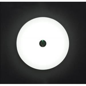 アイリスオーヤマ 【販売終了】LED小型シーリングライト 薄形1200lm 昼白色 人感センサー LED小型シーリングライト 薄形1200lm 昼白色 人感センサー SCL12NMS-UU 画像2