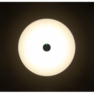 アイリスオーヤマ 【販売終了】LED小型シーリングライト 薄形1200lm 電球色 人感センサー LED小型シーリングライト 薄形1200lm 電球色 人感センサー SCL12LMS-UU 画像2