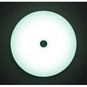 アイリスオーヤマ 【販売終了】LED小型シーリングライト 薄形2000lm 昼光色 人感センサー LED小型シーリングライト 薄形2000lm 昼光色 人感センサー SCL20DMS-UU 画像2