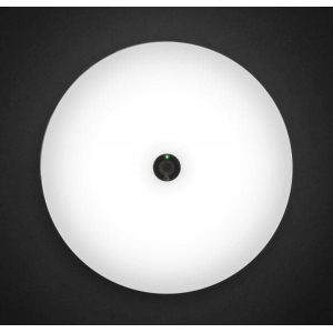 アイリスオーヤマ 【販売終了】LED小型シーリングライト 薄形2000lm 昼白色 人感センサー LED小型シーリングライト 薄形2000lm 昼白色 人感センサー SCL20NMS-UU 画像2