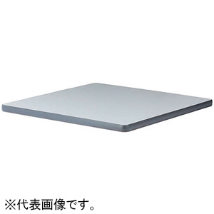 ELECOM 【受注生産品】天井板 LIGHT48用 W450×D550mm用 L1B-TP45