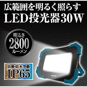 大進 LED投光器30W LED投光器30W DL-2800WL 画像3