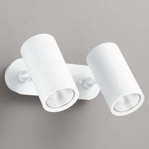 オーデリック LEDスポットライト フレンジタイプ 2灯タイプ R15 クラス2 白熱灯器具100W×2灯相当 LED一体型 昼白色 連続調光タイプ ワイド配光 マットホワイト OS256437R