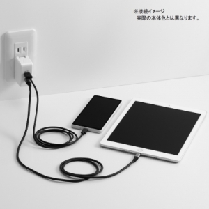 ヤザワ 【生産完了品】PD対応USBアダプター2ポート30W ブラック PD対応USBアダプター2ポート30W ブラック VFPD30BK 画像3