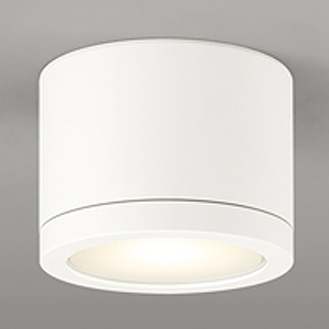 LED非常用照明器具・誘導灯器具 直付型 防雨型 天井面取付専用 白熱灯器具100W相当 LED一体型 電球色 ねじ込式 オフホワイト OR037064