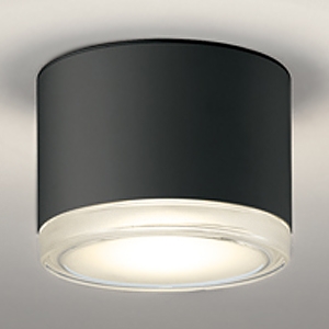 LED非常用照明器具・誘導灯器具 直付型 防雨型 壁面・天井面取付兼用 白熱灯器具100W相当 LED一体型 電球色 ねじ込式 ブラック  OR037038