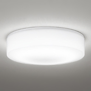 オーデリック 薄型LEDバスルームライト 防雨・防湿型 全配光タイプ 高演色LED 白熱灯器具100W相当 LED一体型 ねじ込式 昼白色 非調光タイプ OG254873R