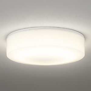 オーデリック 薄型LEDバスルームライト 防雨・防湿型 全配光タイプ 高演色LED 白熱灯器具100W相当 LED一体型 電球色 ねじ込式 非調光タイプ OG254874R